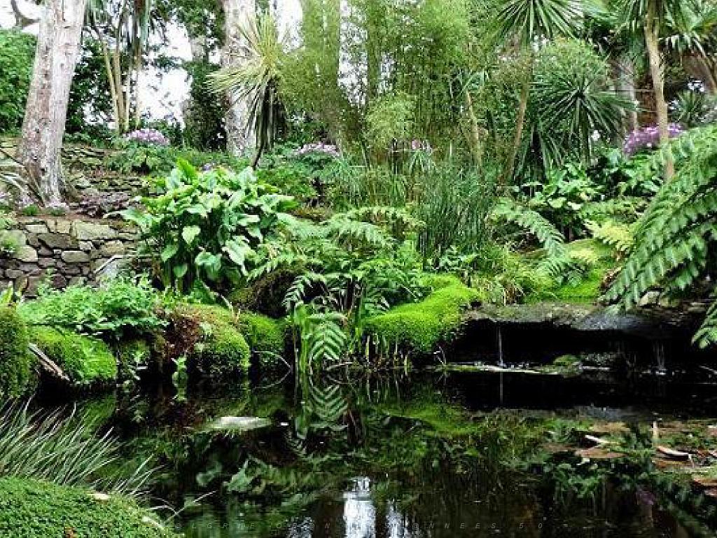 130 Ile de Batz Jardin Georges Delaselle_000038.jpg